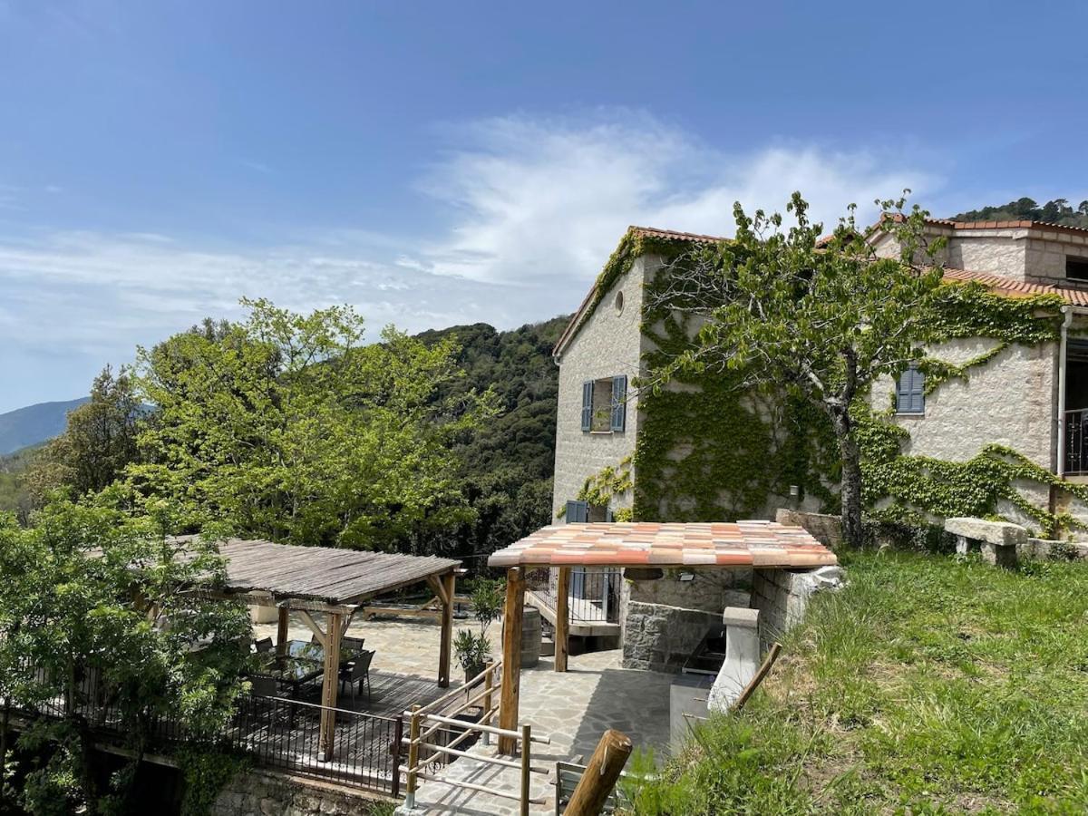 Sud-Corse Bavella Location Montagne Et Mer Sorbollano المظهر الخارجي الصورة