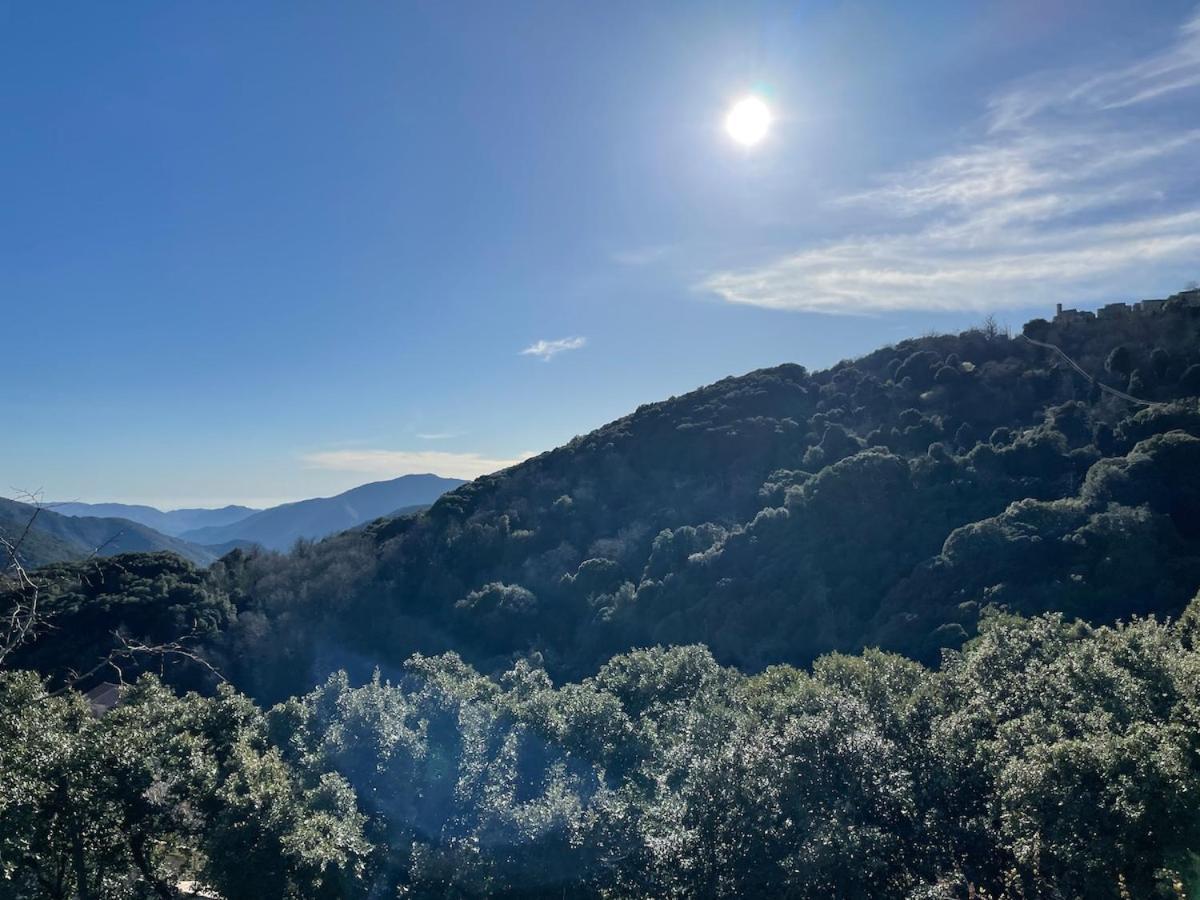 Sud-Corse Bavella Location Montagne Et Mer Sorbollano المظهر الخارجي الصورة