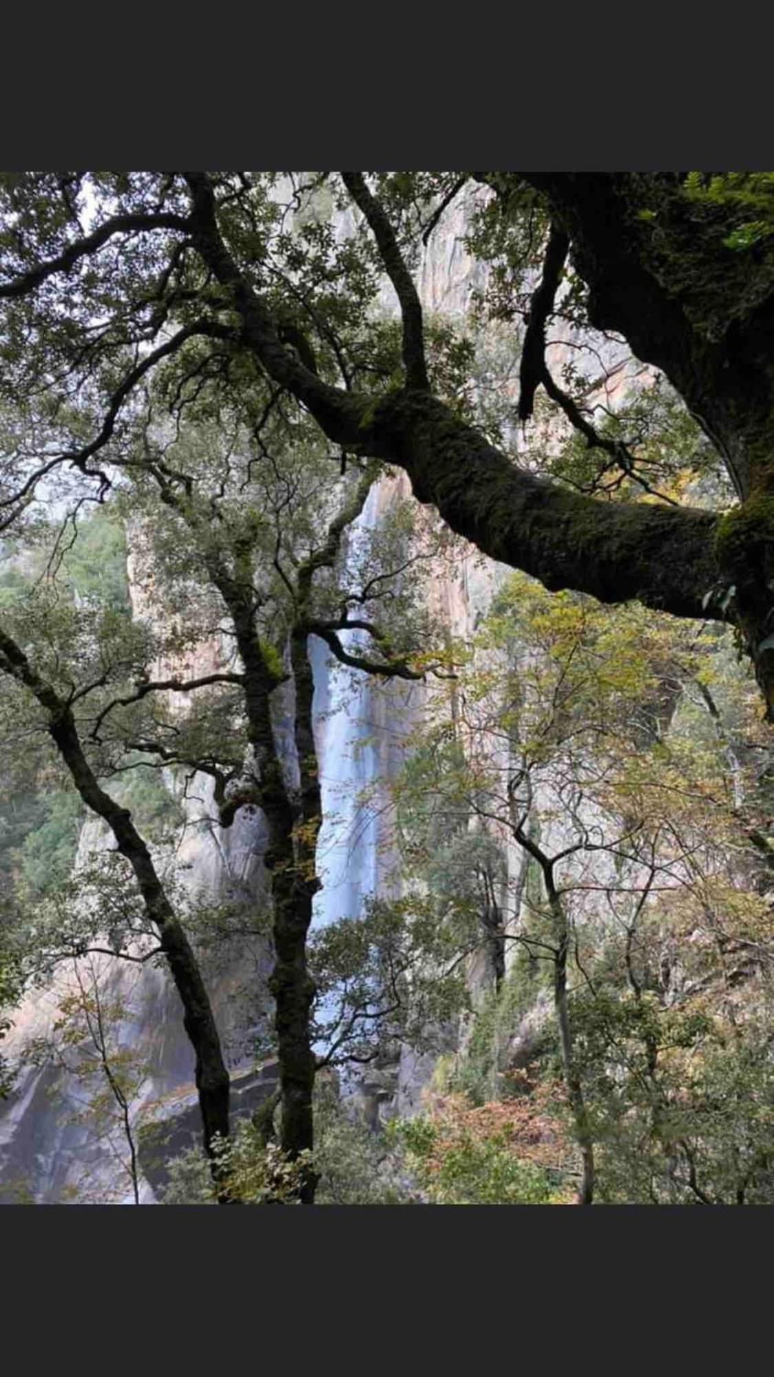 Sud-Corse Bavella Location Montagne Et Mer Sorbollano المظهر الخارجي الصورة